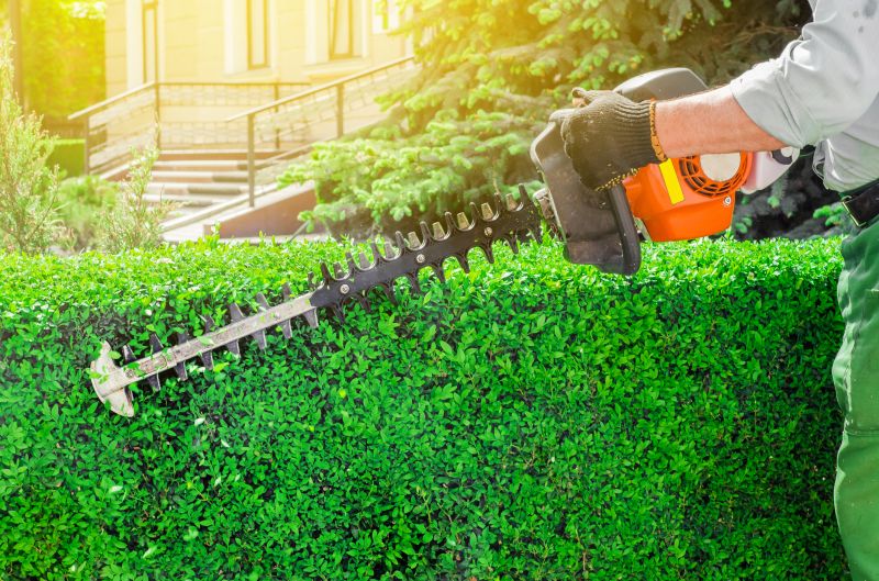 Commercial Hedge Removal