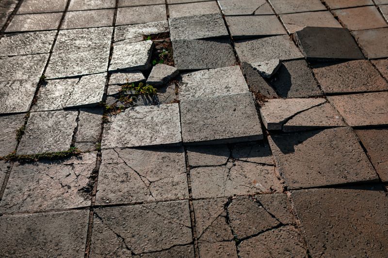 Cracked Pavers Repair