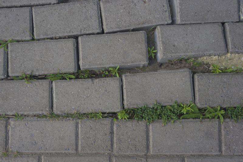 Loose Pavers Repair