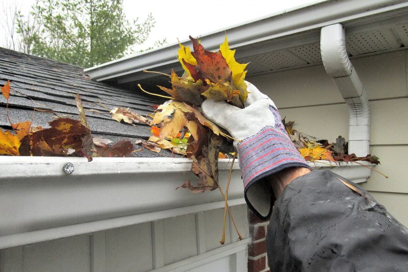 Local Gutter Maintenance