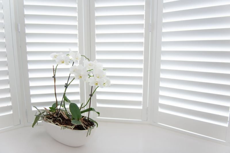 Window Shutters Installation
