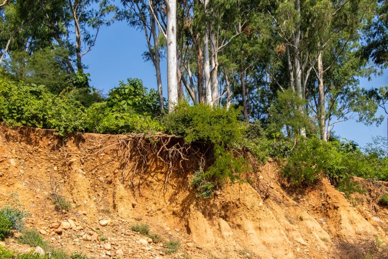 Hillside Erosion Repair