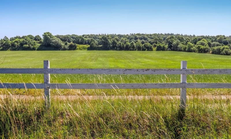 Fence Line Clearing